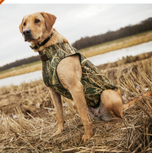 cabelas advanced dog vest